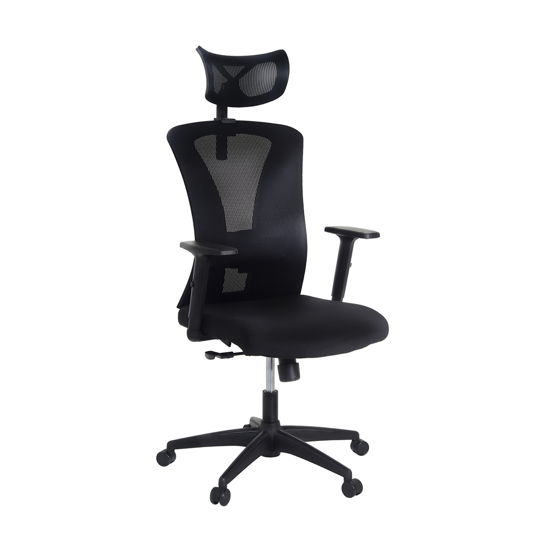 Cadeira Presidente BLM 0243P